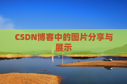 CSDN博客中的图片分享与展示